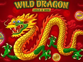 Wild Dragon HOLD&WIN game screenshot