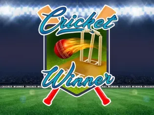 Cricket Winner game screenshot